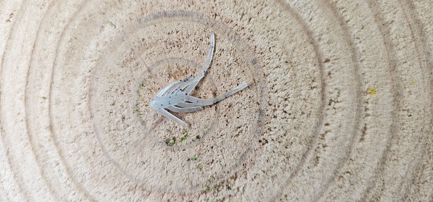 Ice spider image 3