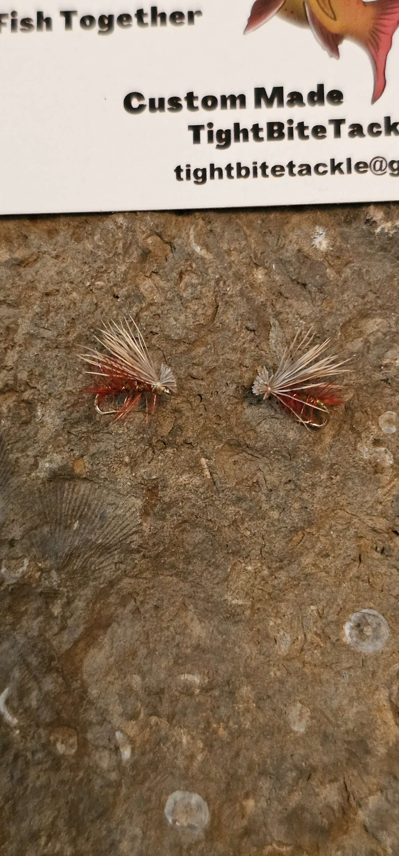 Flys wet/dry -hand tied (multiple kinds) image 6