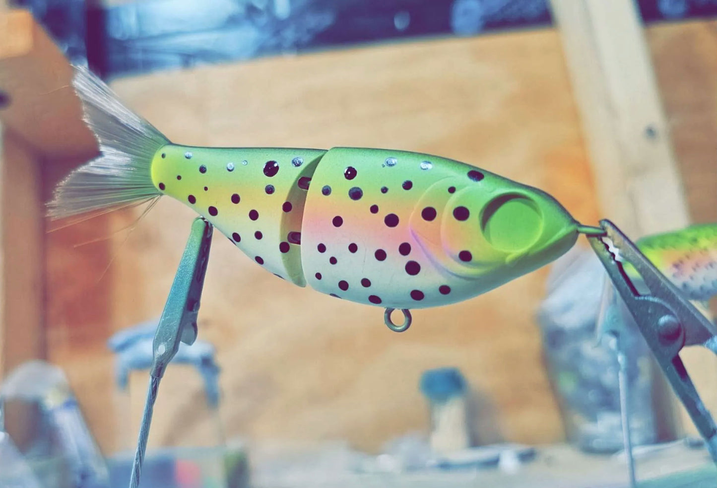 Mini Shad image 2