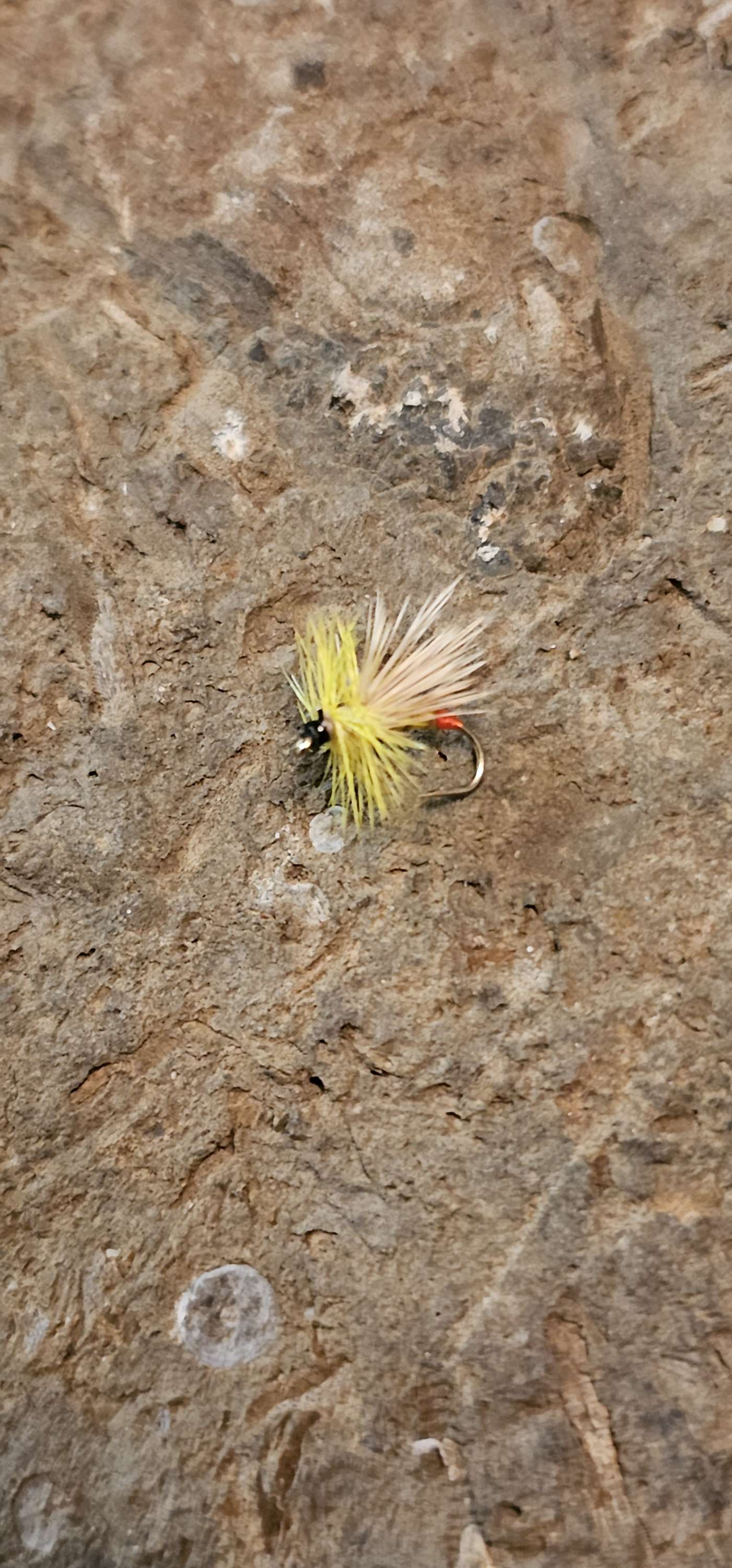 Flys wet/dry -hand tied (multiple kinds) image 0